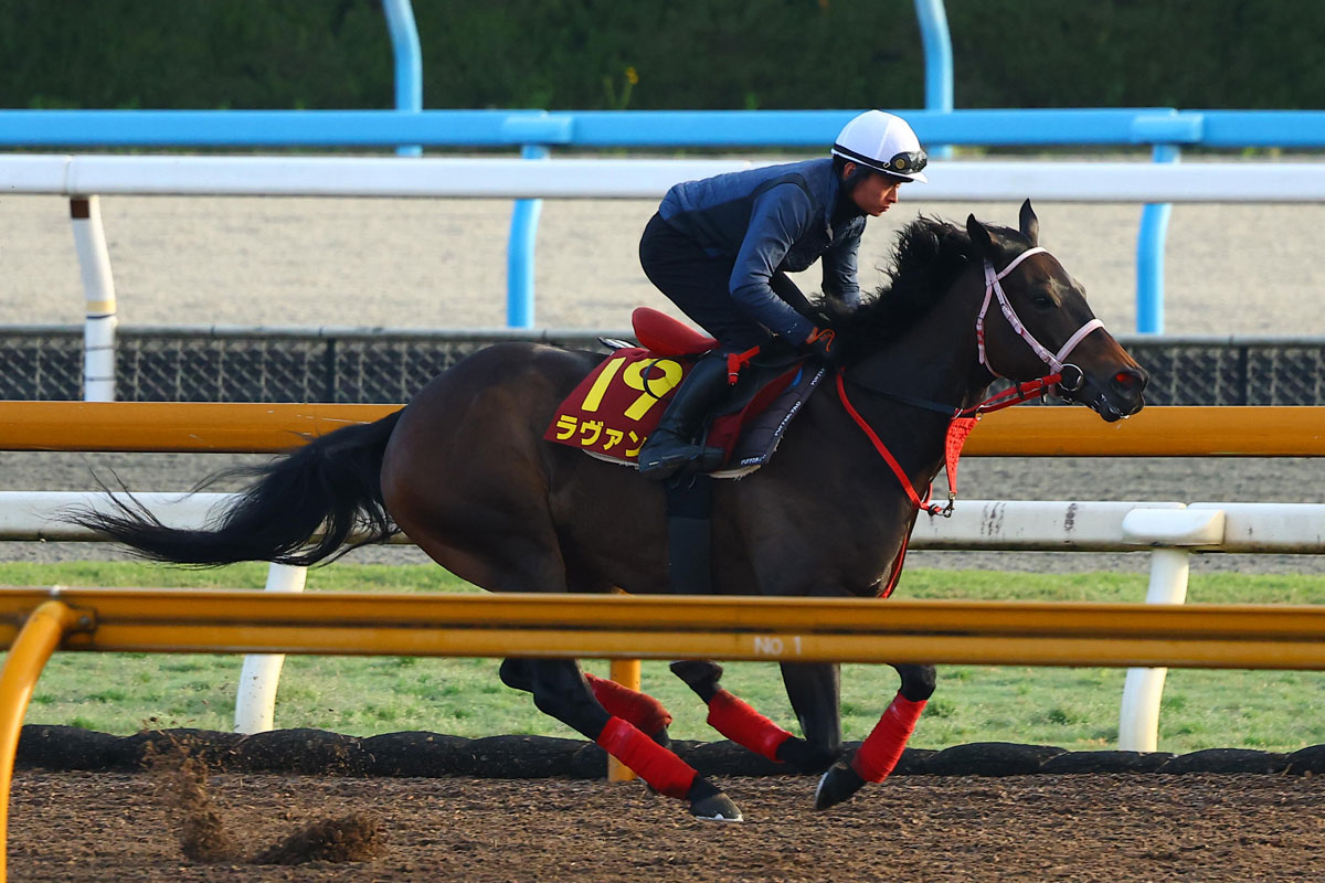 ヴィクトリアマイル1週前追い切り】カムニャックは馬なりで鋭い伸び