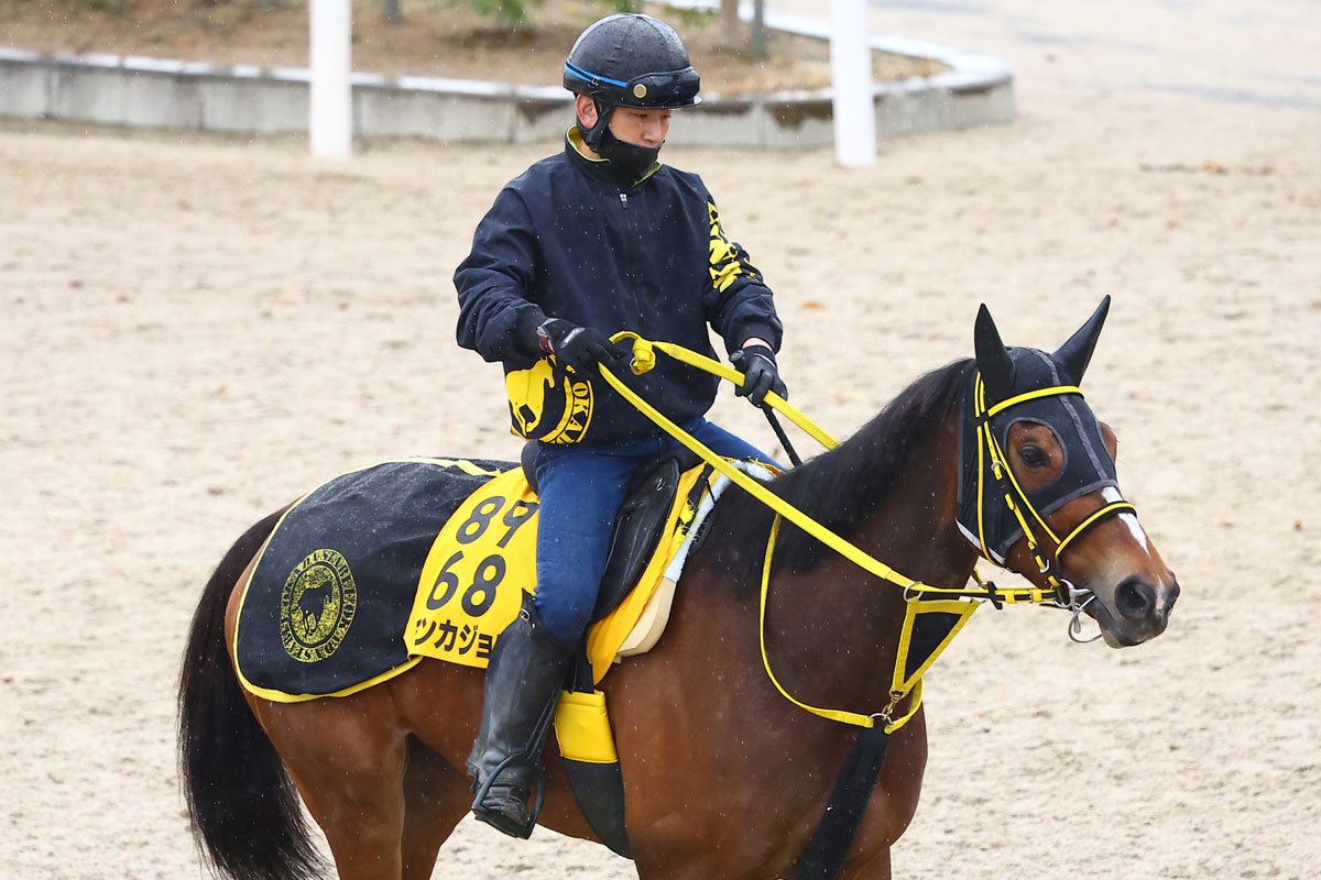 川崎競馬・エンプレス杯予想】テンカジョウが連覇へ！ 松山弘平騎手の