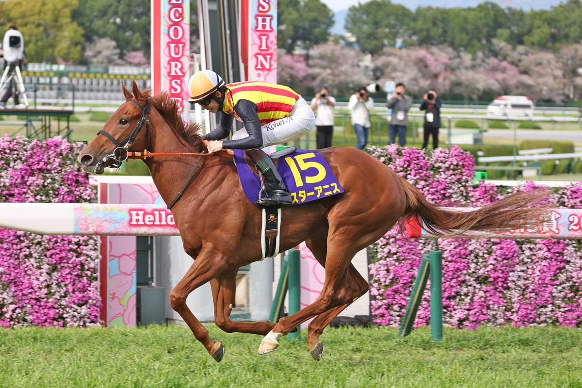 オークス】桜花賞馬スターアニスは適性に疑問符 満点評価は3頭に
