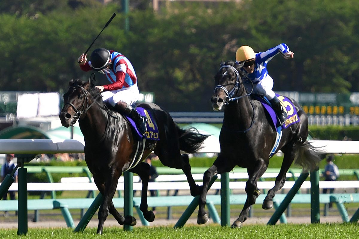 日本ダービー】枠順確定 2冠狙うロブチェンは8枠17番 武豊7度目V懸かる