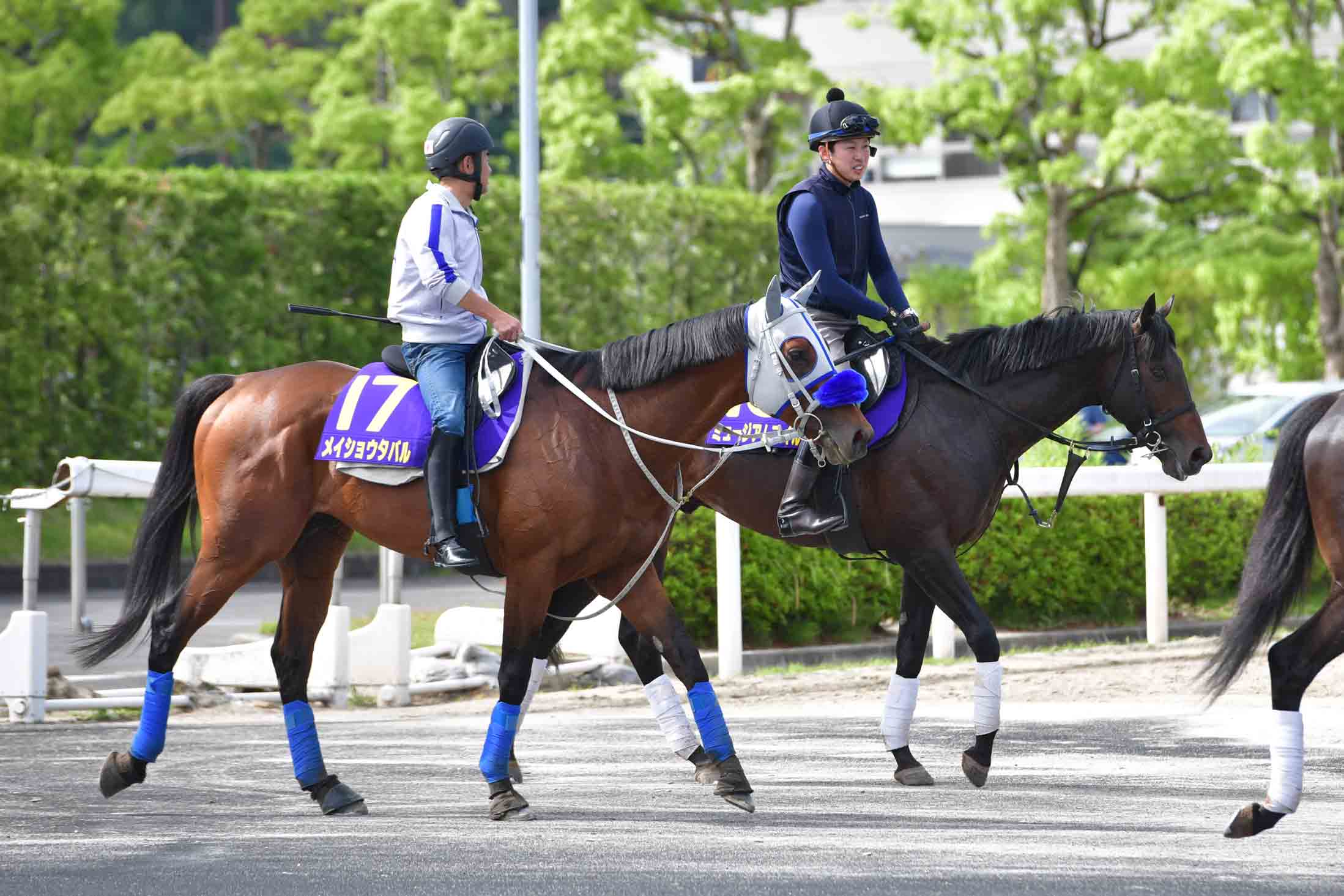 宝塚記念・コメントのツボ】メイショウタバル武豊「難しい面はあります