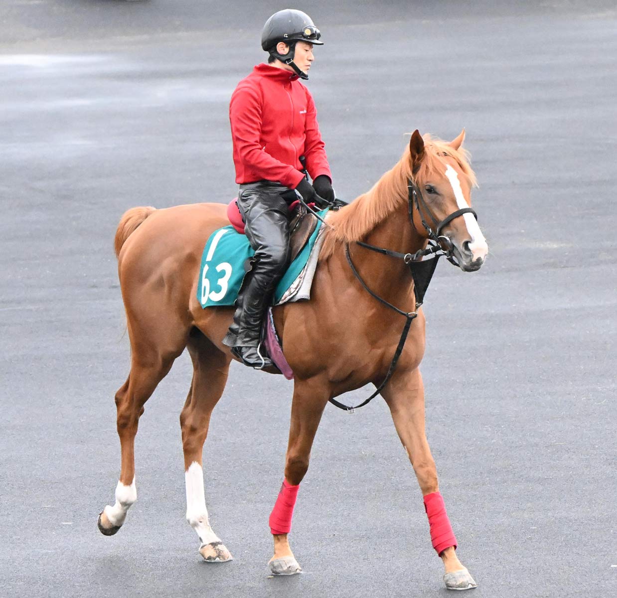 武豊とコンビを組む新馬が続々決定！ 億超え高額馬に新種牡馬産駒の良