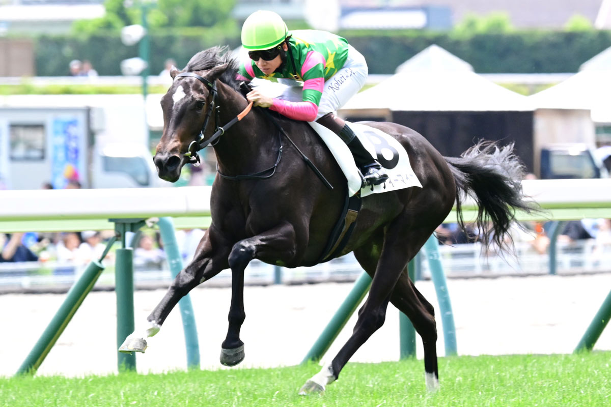 ジーティーマイカが圧巻の7馬身差タイレコードV 松山弘平「強い内容で