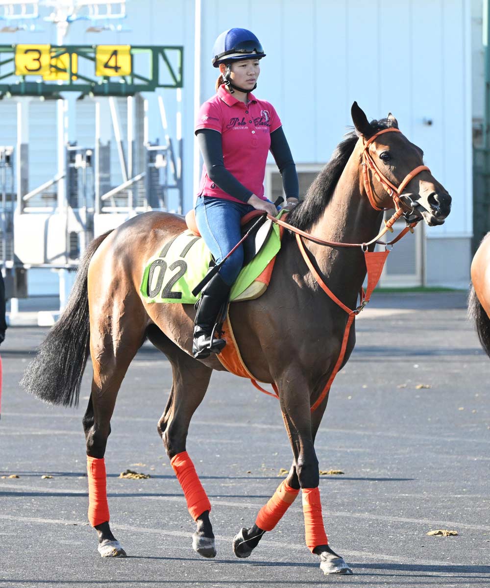 先出し！注目新馬】函館4週目デビュー予定の馬を紹介 静内農高生産馬や