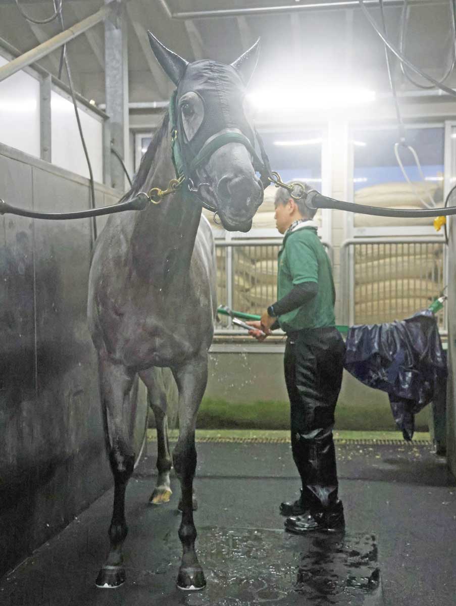 北九州記念・データ分析予想】〝1キロの恩恵〟が馬券のカギ