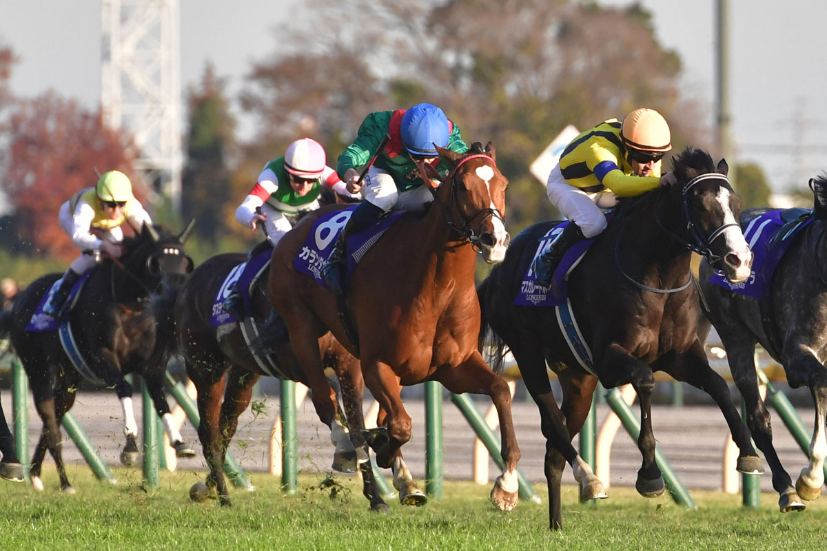 中山記念ガイド】肝は舞台設定！初心者でもわかるレースの傾向・予想の