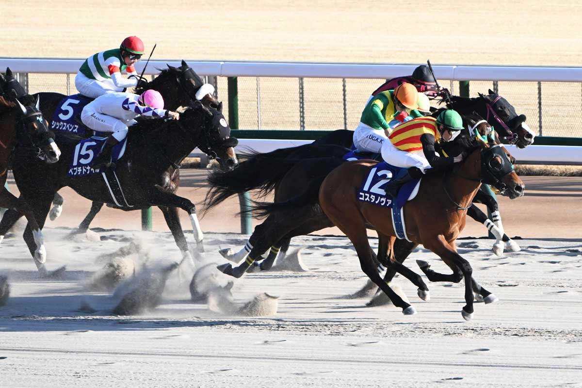中山記念ガイド】肝は舞台設定！初心者でもわかるレースの傾向・予想の