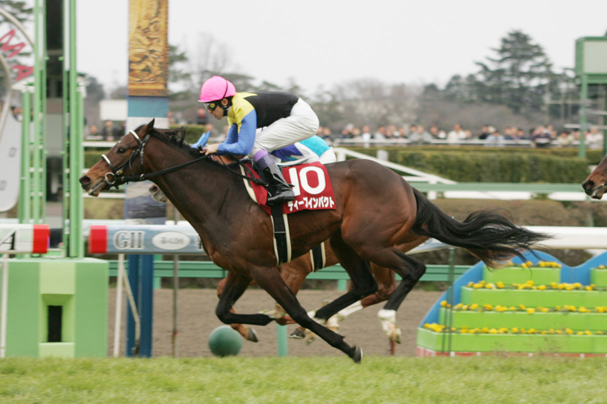 弥生賞ガイド】初心者でもわかるレースの傾向・予想のツボ・馬券の