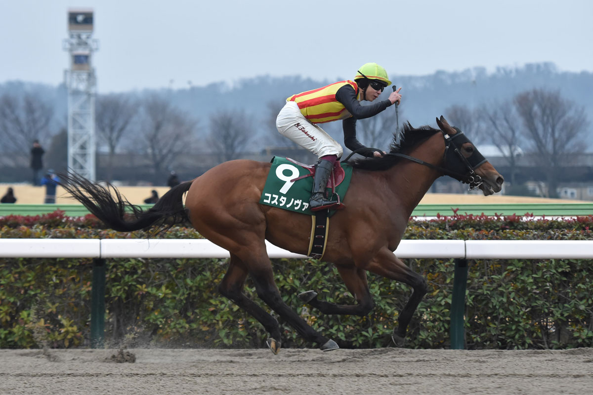 根岸Sガイド】どんなレース？狙うべき馬は？初心者にもわかりやすい