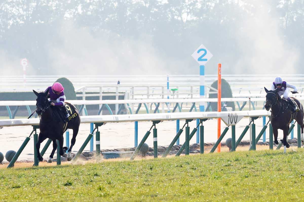 桜花賞ガイド】全頭紹介と初心者でも分かるレースの特徴＆予想講座