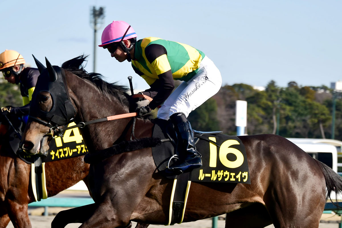 桜花賞ガイド】全頭紹介と初心者でも分かるレースの特徴＆予想講座