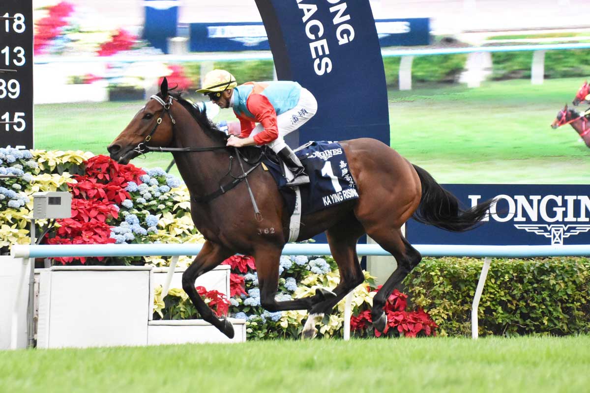 香港競馬ガイド】初心者でも分かるチャンピオンズデーの3大レース 馬券