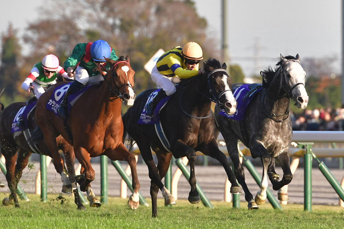 香港競馬ガイド】初心者でも分かるチャンピオンズデーの3大レース 馬券