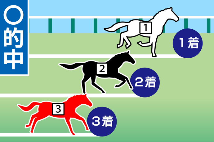 はじめての競馬予想ガイド】馬券の種類 | 競馬ニュース・特集なら東