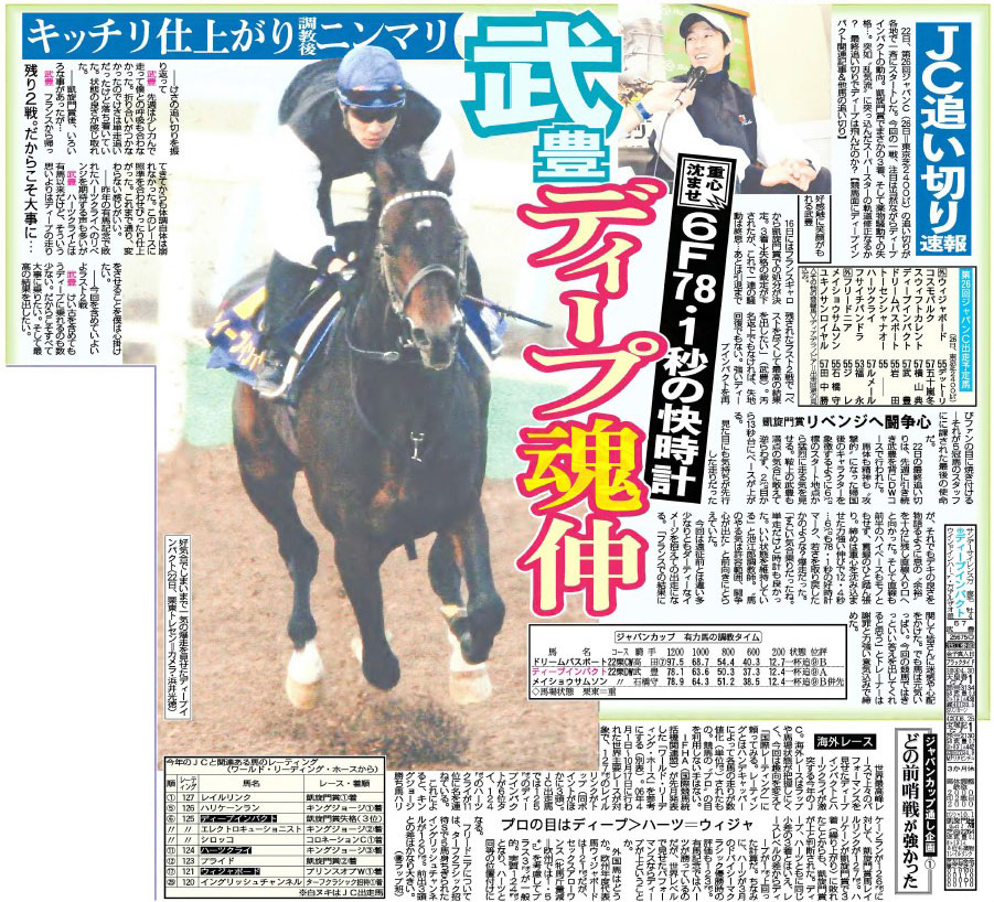 第26回 ジャパンカップ 優勝 ディープインパクト ミニゼッケン 25×18 