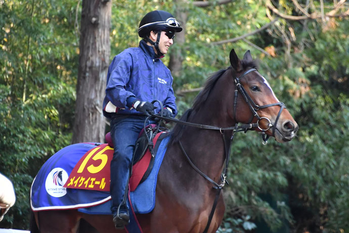 阪神ｊｆ つよかわ メイケイエール 普段はおとなしくて仕事になるとバリバリ 競馬ニュース 特集なら東スポ競馬
