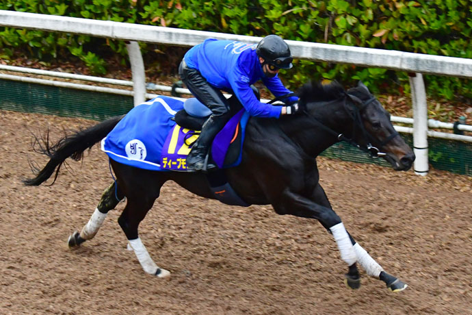 皐月賞 あくまで見据える先はダービー 池江師の期待を背負うディープモンスター 競馬ニュース 特集なら東スポ競馬