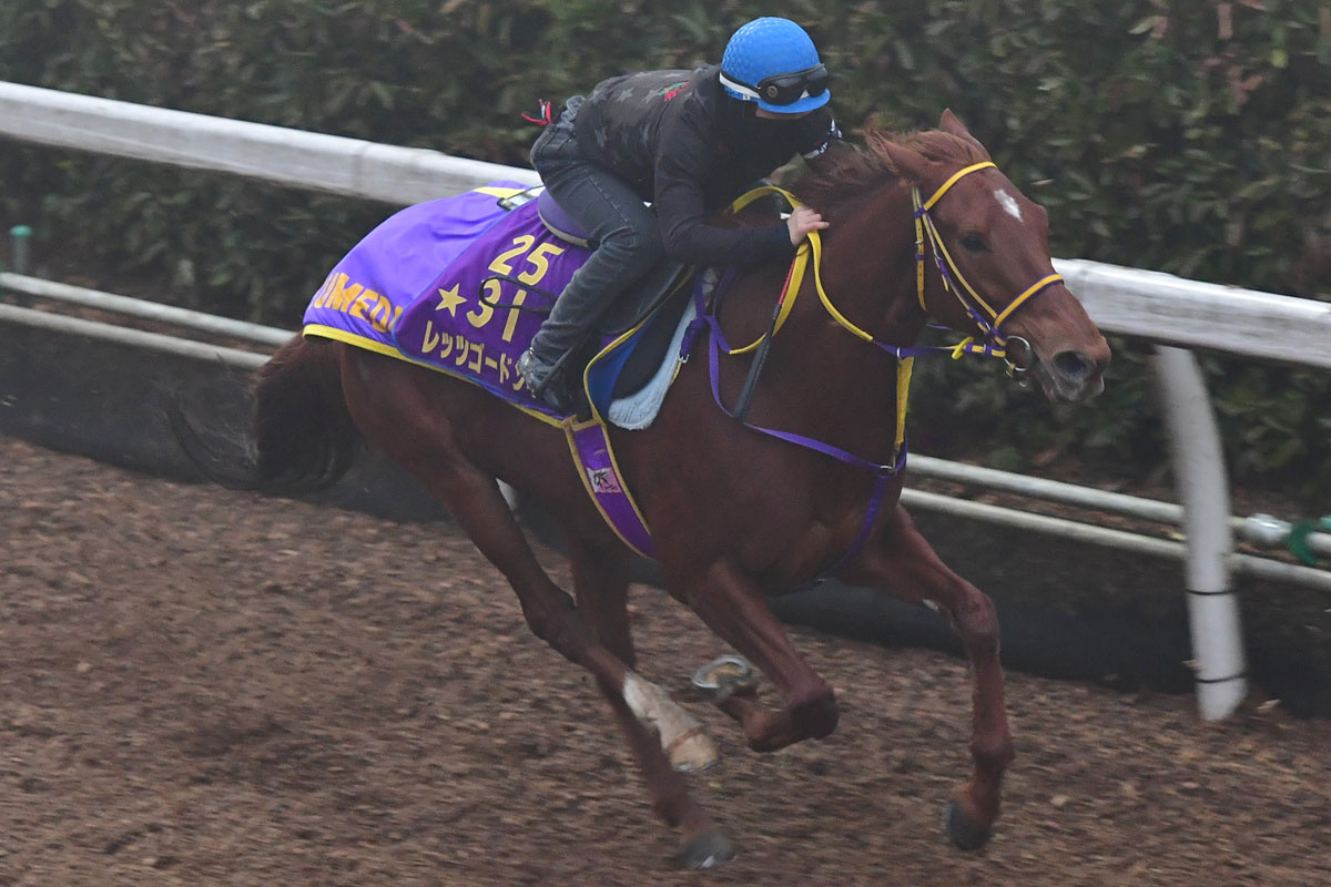 レッツゴードンキが英国でガリレオの子を出産 レッツゴードンキとかけて新幹線と解きます その心は 競馬ニュース 特集なら東スポ競馬