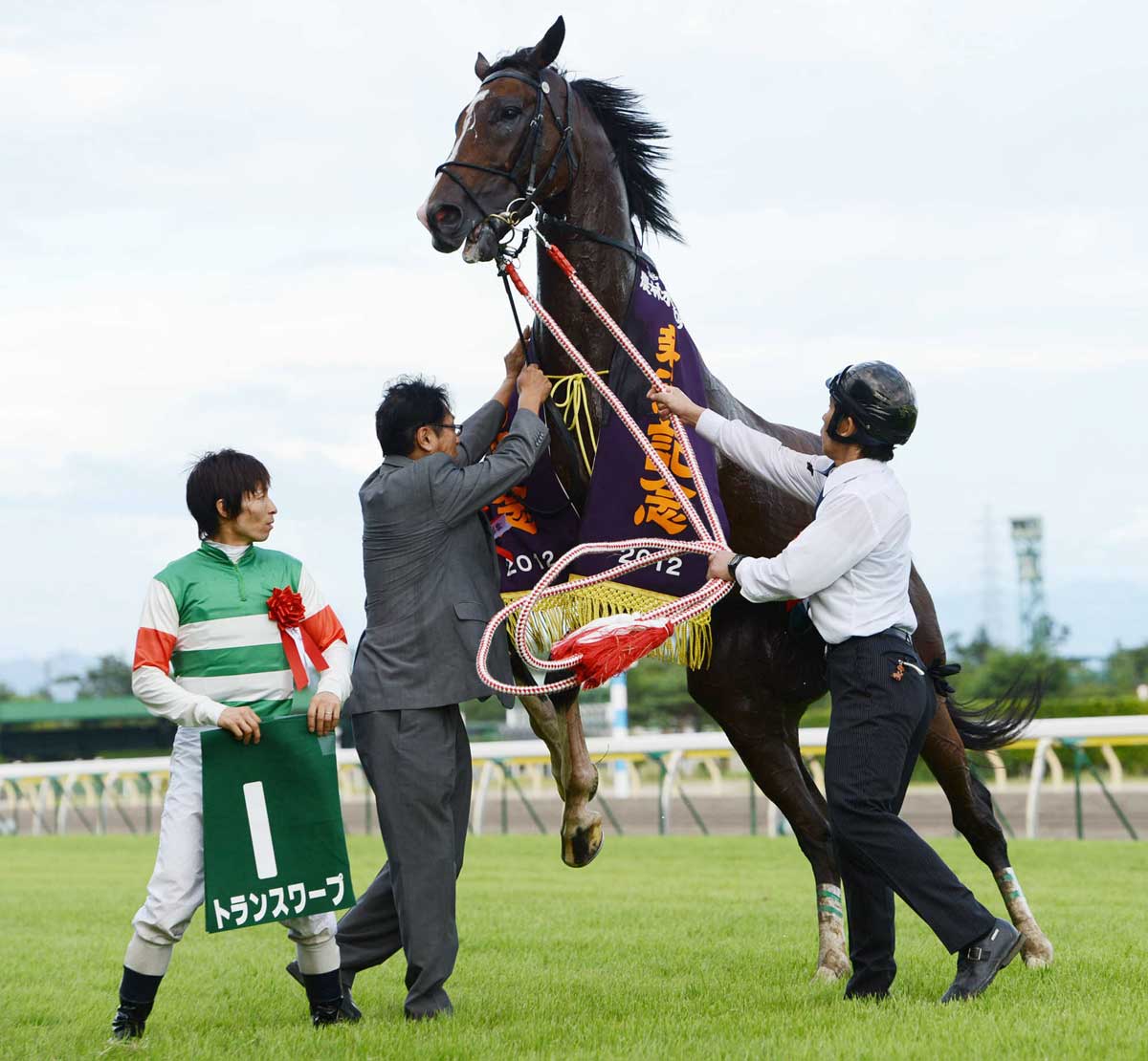 ラスース 「乗馬」夏 （227>苦楽をともにしてきたトランスワープの引退 