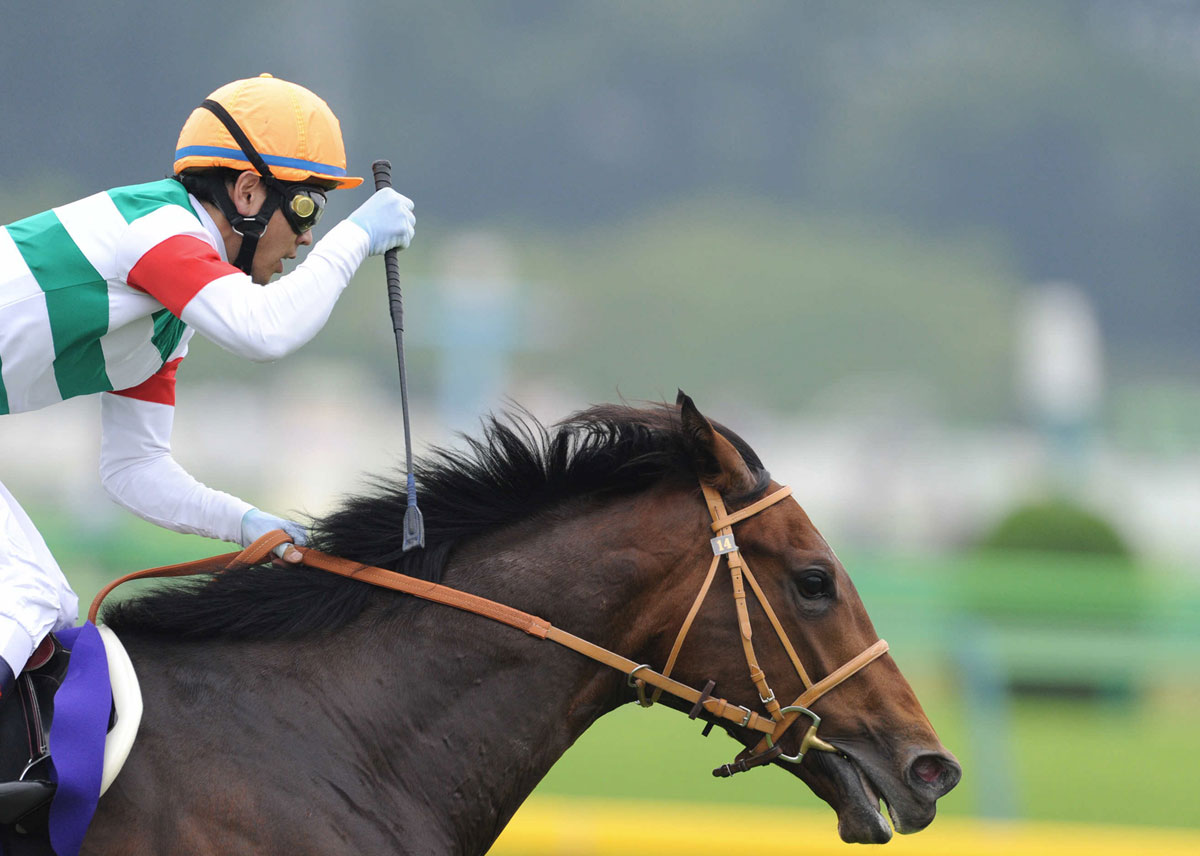88>山元で被災したリアルインパクトが安田記念V！ | 競馬ニュース
