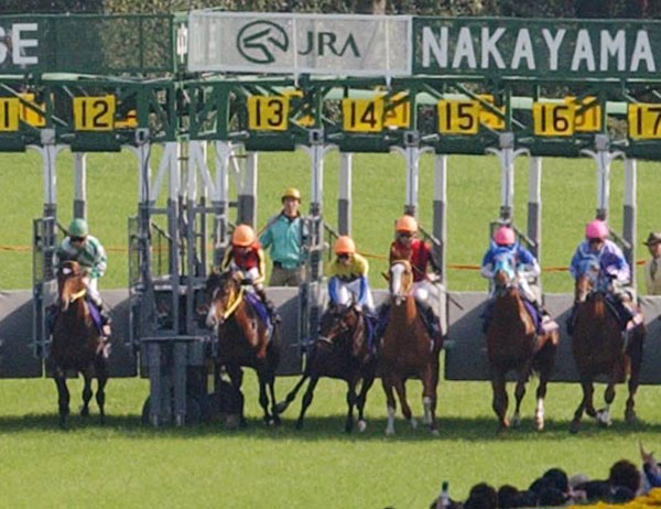 池江泰郎元調教師連載【8】競馬人生の集大成とも呼べるディープとの