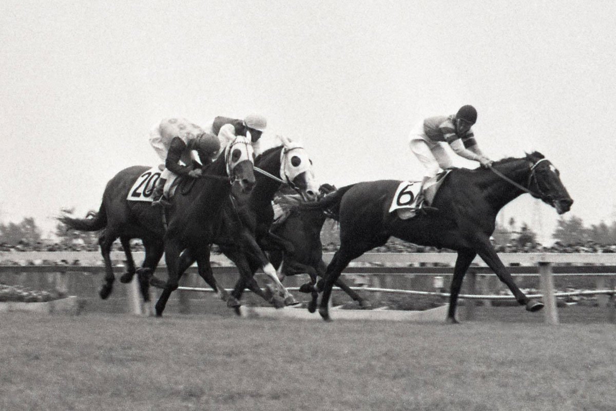 三番勝負】昭和48年（1973年）天皇賞・春 | 競馬ニュース・特集 