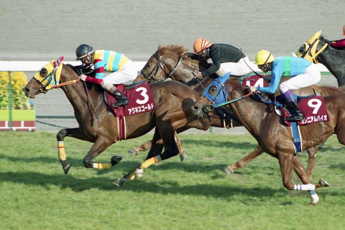 また快挙 ブラックモア騎手が英ｇ グランドナショナルを女性騎手として初ｖ 競馬ニュース 特集なら東スポ競馬