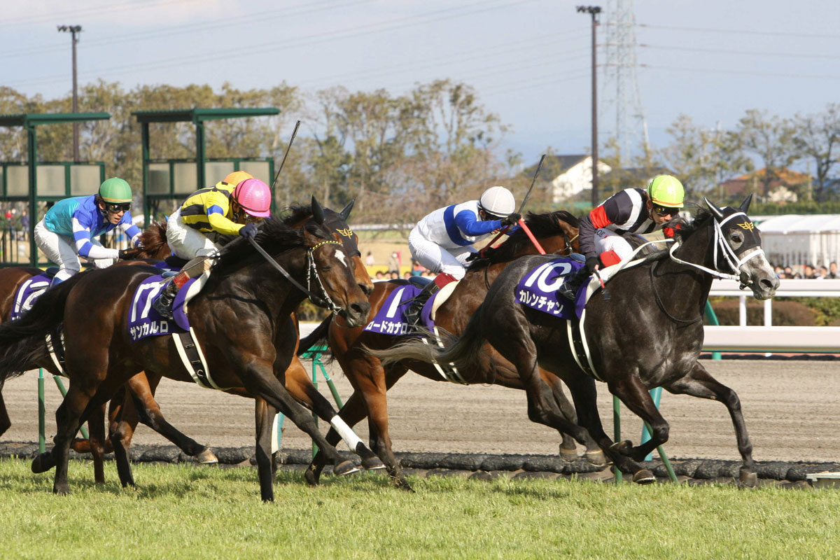４６ まだカレンチャンの方が上 戦前の隆行の見立て通りに 競馬ニュース 特集なら東スポ競馬